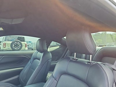 2025 Ford Mustang GT Premium 60 th ANNIVERSEY