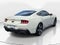 2025 Ford Mustang GT Premium 60 th ANNIVERSEY