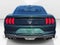 2019 Ford Mustang Bullitt