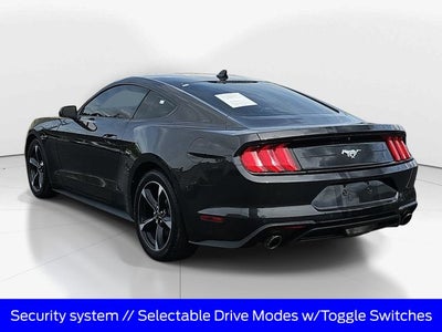 2023 Ford Mustang EcoBoost