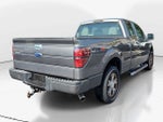 2010 Ford F-150 XLT