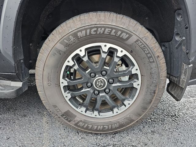 2024 Toyota Sequoia SR5
